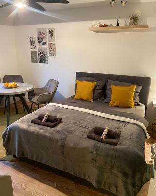 GREENSIDE Apartment Work&Travel Nähe Weinheim, HD, MA