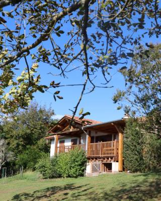 Maison de vacances vue exceptionnelle sur les montagnes basque
