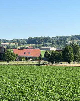 Vakantiewoning - Ter Douve