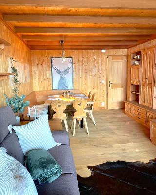 Cozy apartment in St. Moritz