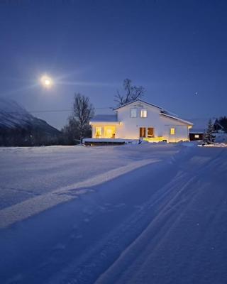Mountainside Lodge - Breivikeidet