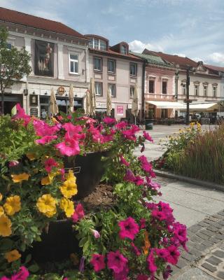 Apartmán Rebeka