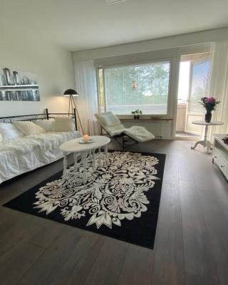 Style 1BR Appartment in Kemi - Tornio