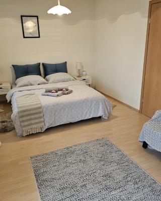 Apartman Šimun