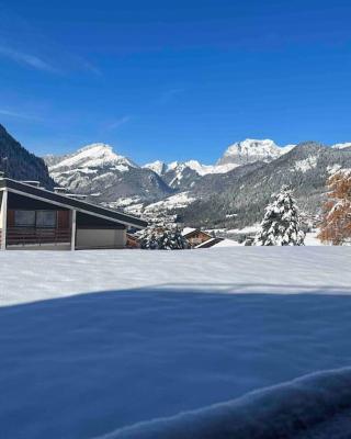 Appartement-Châtel / Apartment-Châtel-resort