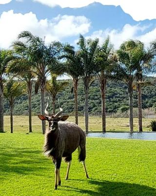 Hoekland Manor Stilbaai