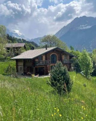 CHALET RONDIN