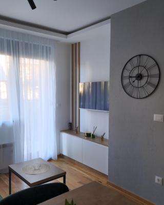 Kosta's apartment Titova Vila