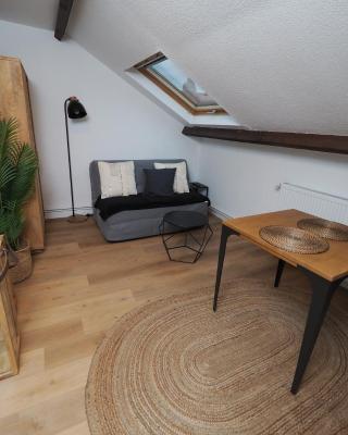 Appartement meublé 5 - 15 min Dampierre - 25 min Belleville - WIFI