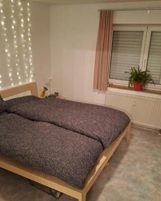 Schöne helle Wohnung nähe Parkanlage