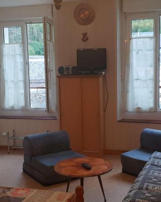 Appartement 4 pers. à Cauterets, hyper-centre, ascenseur, skis aux pieds, proche télécabine - FR-1-234-299