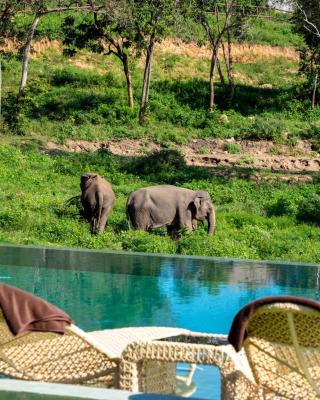 Wild Cottages Elephant Sanctuary Resort