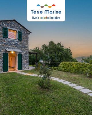 Villa Ca Damare, TerreMarine