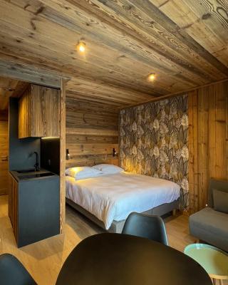 Résidence GRAND COCOR, Skis aux pieds -Studio 25 m2- by MONTBLANC LOGDE