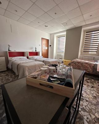 B&B Orchidea Bianca