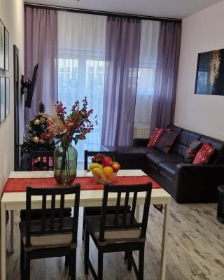 Apartament Leopard