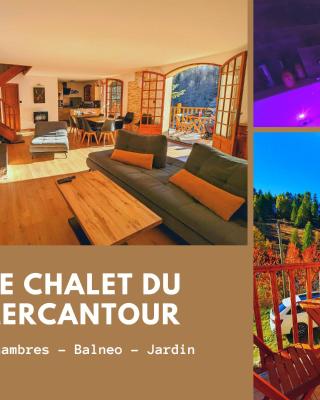 Magnifique Chalet avec Balnéothérapie