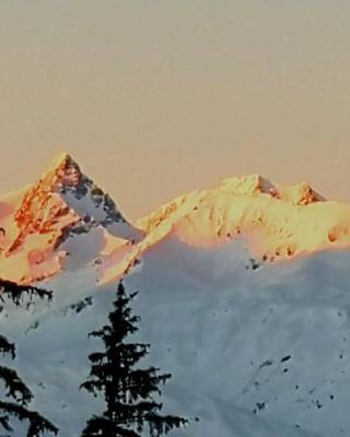 Bourg Saint Maurice Les Arcs - maisonnette grand confort dans charmant village de montagne !