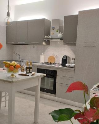 a CASA IDA