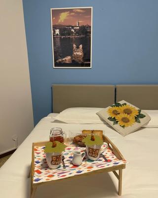 B&B Gloria Apartment