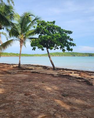 Beautiful Caribbean Waters - 7 Seas Beach, El Yunque, Icacos Island