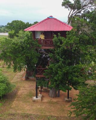 Animal View Point Yala