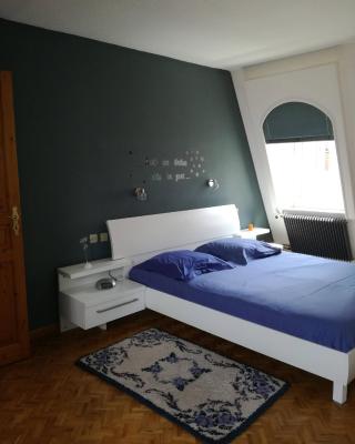 "Côté cœur", charmant appartement au centre de Munster