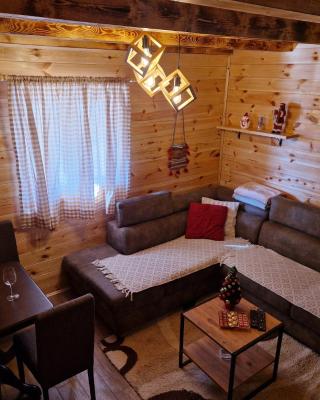 Cozy Home Small bear