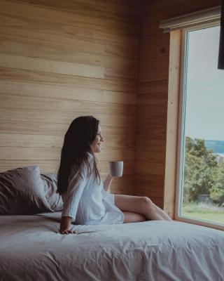 Ave Lodge Frutillar