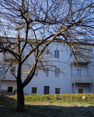 Gmunden zentrale Lage