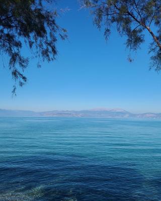 An Oasis By The Beach