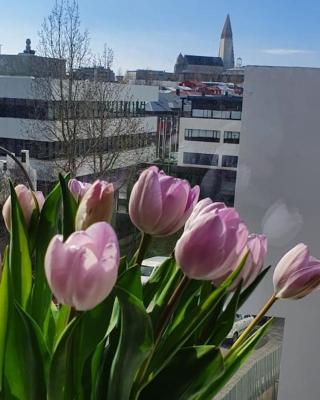 Lovely modern 1-bedroom apartment, free parking