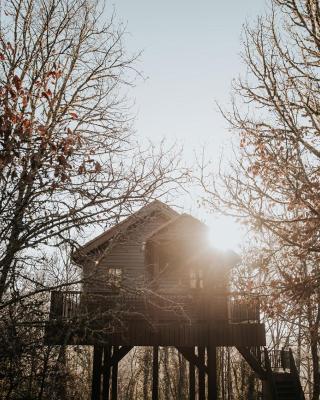 Cabane Rouge-Gorge