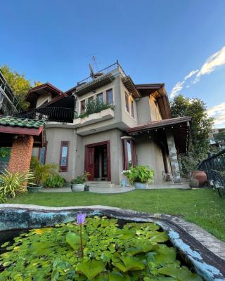 中国蒲公英民宿Dandelion Guest house Villa with Mount View