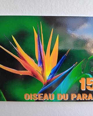 Oiseau du paradis