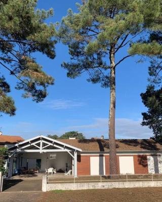 Villa piscine bord de foret