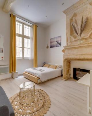 Charming hypercentre apartment Bordeaux