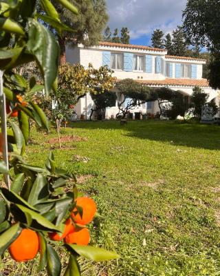 Villa Silmar