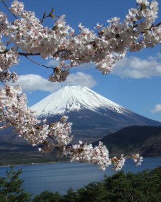 本栖湖畔 民宿 浩庵 Kouan guesthouse at Lake Motosu