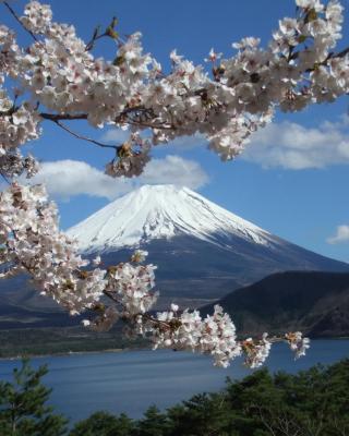 本栖湖畔 浩庵 Kouan at Lake Motosu