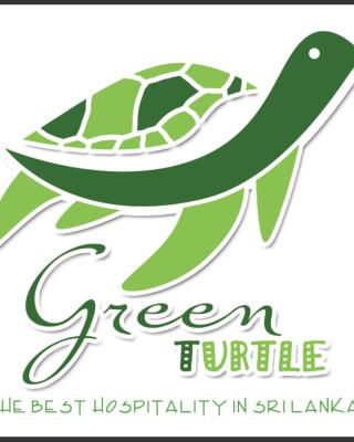 Green turtle