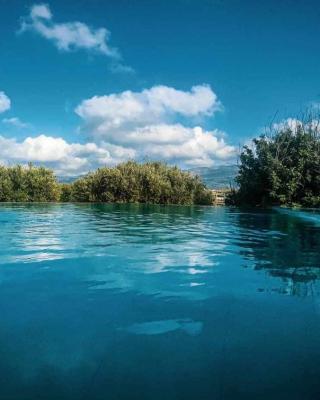 Villa Thea sitia