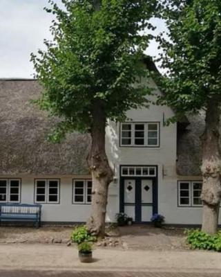 Haus Lotte