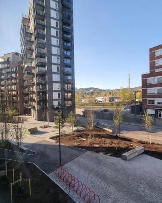 Studio apartment 10mins from Oslo Cent. station.