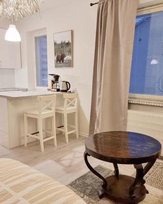 Studio Porin Oksi, home away home in Pori city center, free parking