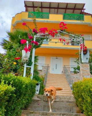 House with Wonderful View