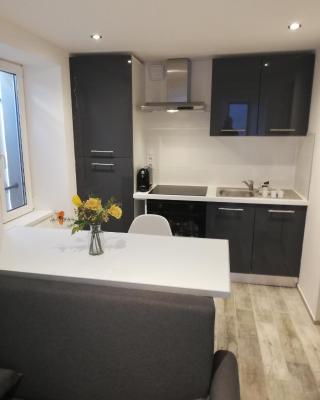 Appartement avec terrasse entre vignes, balades, Alsace