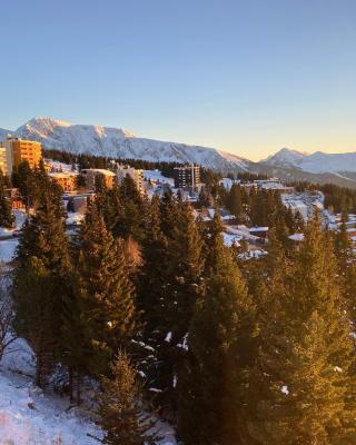 Les Balcons d'Edelweiss