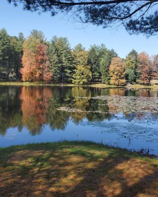 Paper Mill Pines Bed and Breakfast