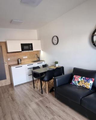 Rezidence pod zámkem Mikulov - apartmán 205 B